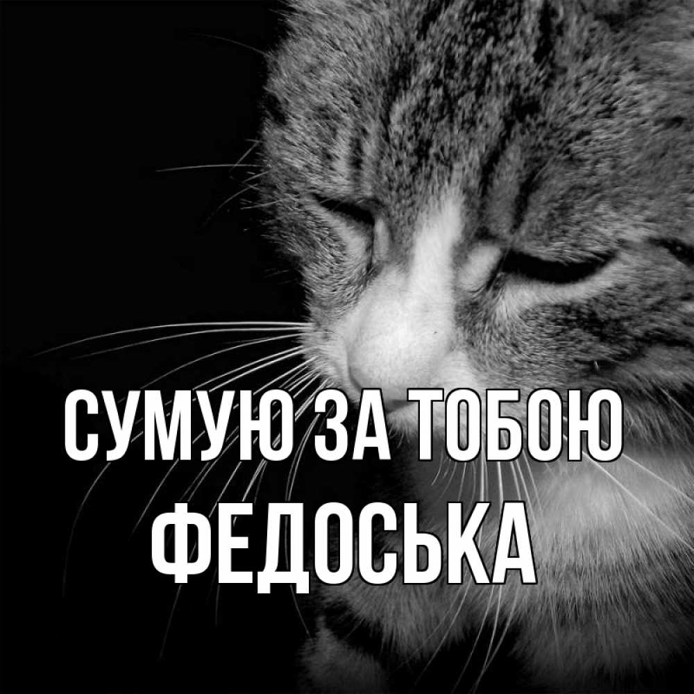 Открытка на каждый день з підписом, Федоська Сумую за тобою мне скучно Прикольна листівка з побажанням онлайн скачати безкоштовно 