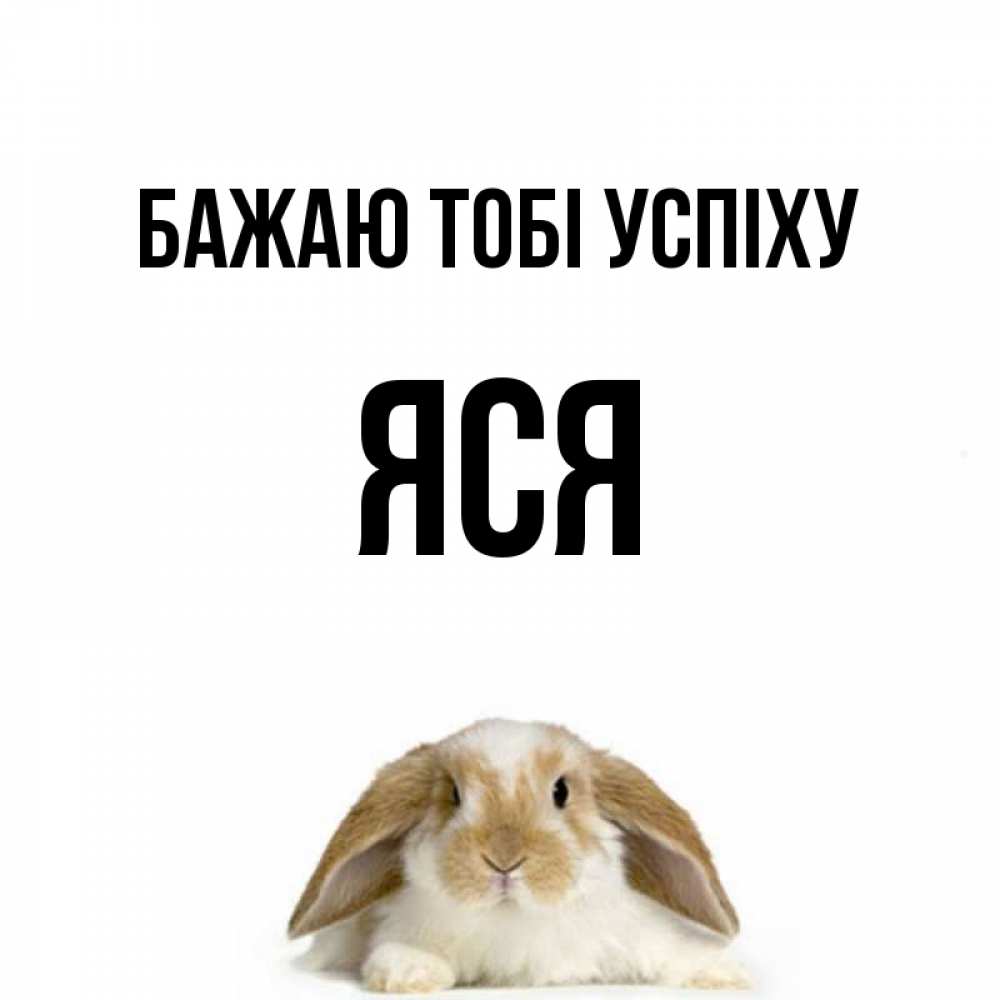 Открытка на каждый день з підписом, Яся Бажаю тобі успіху открытки с произвольным текстом который можно вставить в открытку и создать ее самостоятельно бесплатно онлайн Прикольна листівка з побажанням онлайн скачати безкоштовно 