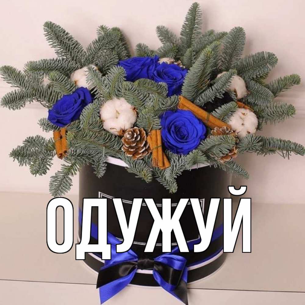 Открытка на каждый день з підписом, выберите-имя Одужуй короче кто то загрузил эти шишки Прикольна листівка з побажанням онлайн скачати безкоштовно 