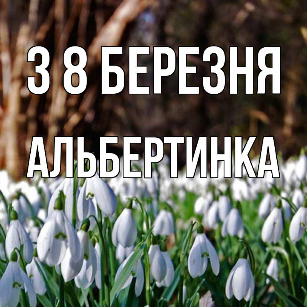 Открытка на каждый день з підписом, Альбертинка З 8 БЕРЕЗНЯ с подснежниками 1 Прикольна листівка з побажанням онлайн скачати безкоштовно 
