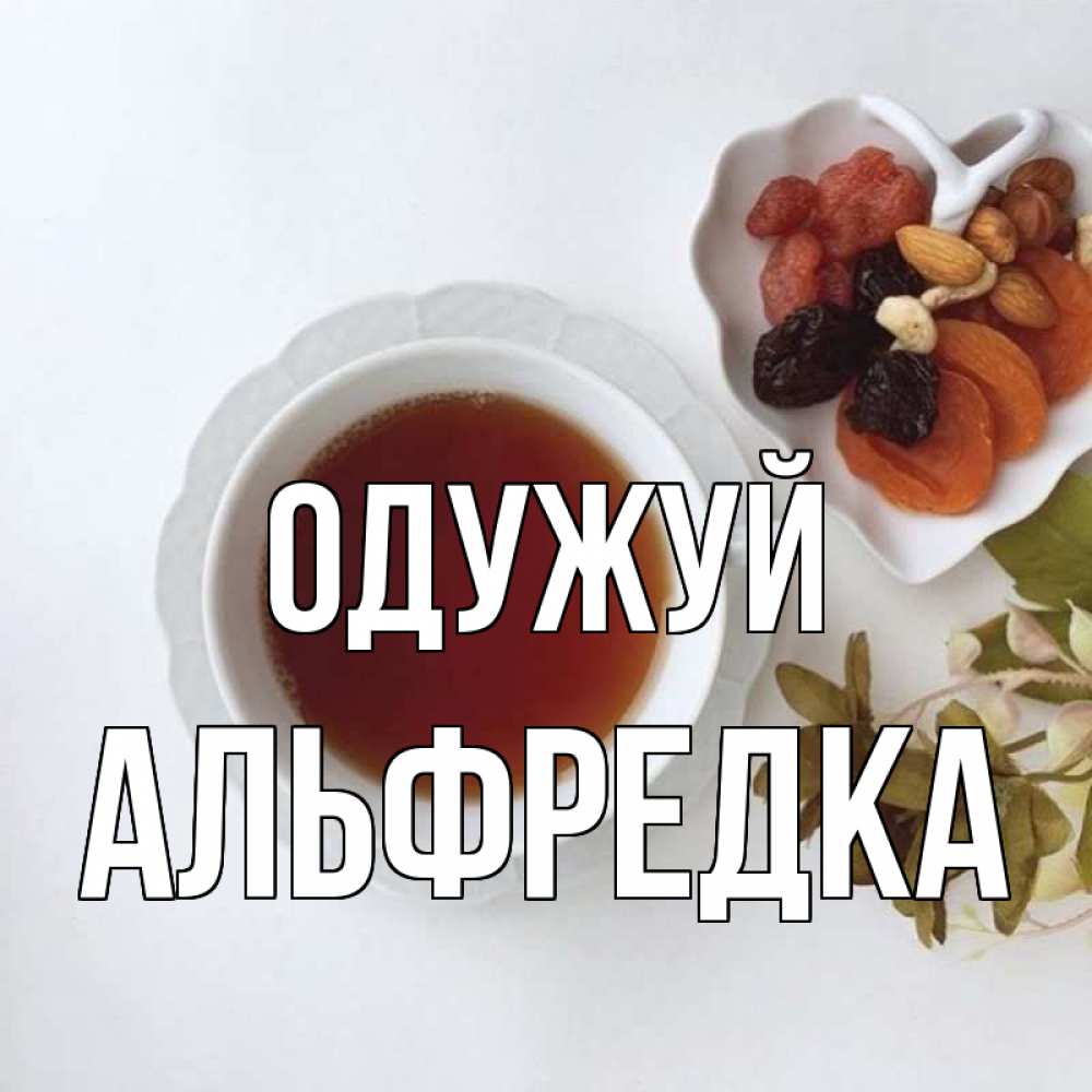 Открытка на каждый день з підписом, Альфредка Одужуй неизвестные растения Прикольна листівка з побажанням онлайн скачати безкоштовно 