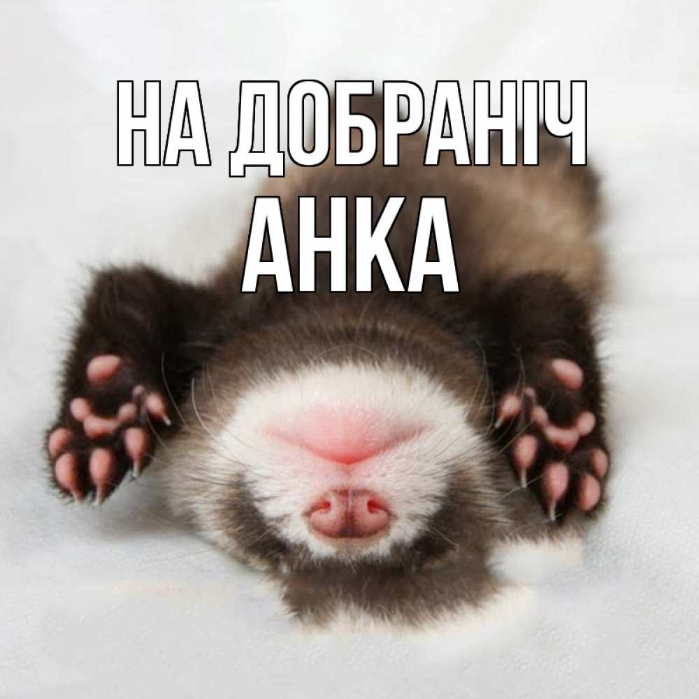 Открытка на каждый день з підписом, Анка На добраніч зверек Прикольна листівка з побажанням онлайн скачати безкоштовно 