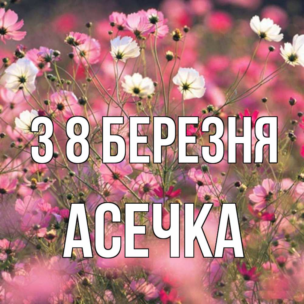 Открытка на каждый день з підписом, Асечка З 8 БЕРЕЗНЯ красиво 1 Прикольна листівка з побажанням онлайн скачати безкоштовно 
