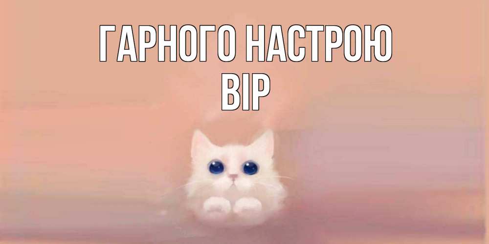 Открытка на каждый день з підписом, Вір Гарного настрою кошка Прикольна листівка з побажанням онлайн скачати безкоштовно 