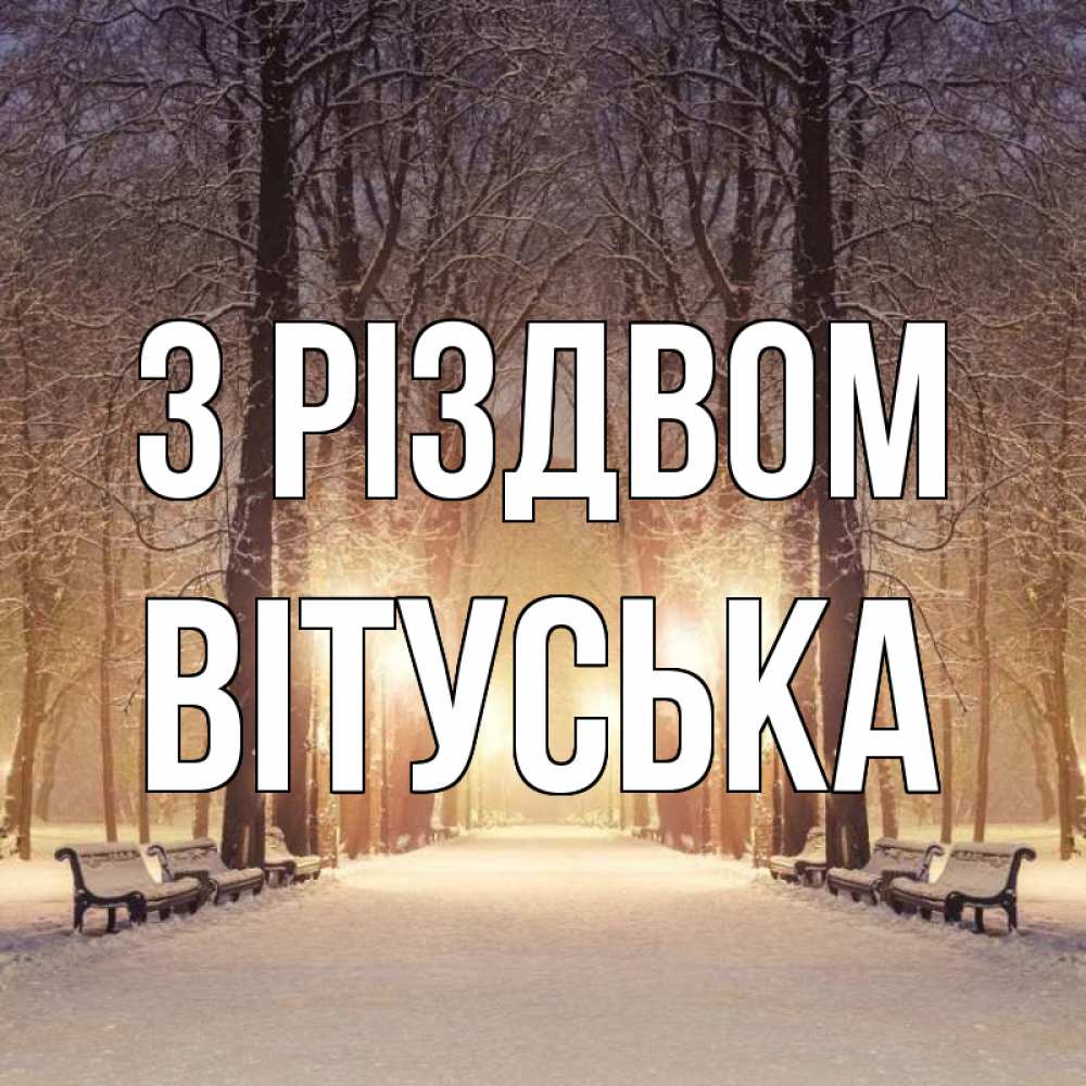 Открытка на каждый день з підписом, Вітуська З Різдвом зима, парк, фонарь, лес Прикольна листівка з побажанням онлайн скачати безкоштовно 