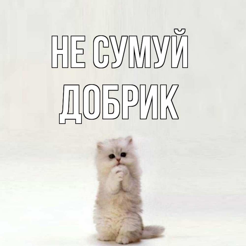 Открытка на каждый день з підписом, Добрик Не сумуй грустный кот Прикольна листівка з побажанням онлайн скачати безкоштовно 