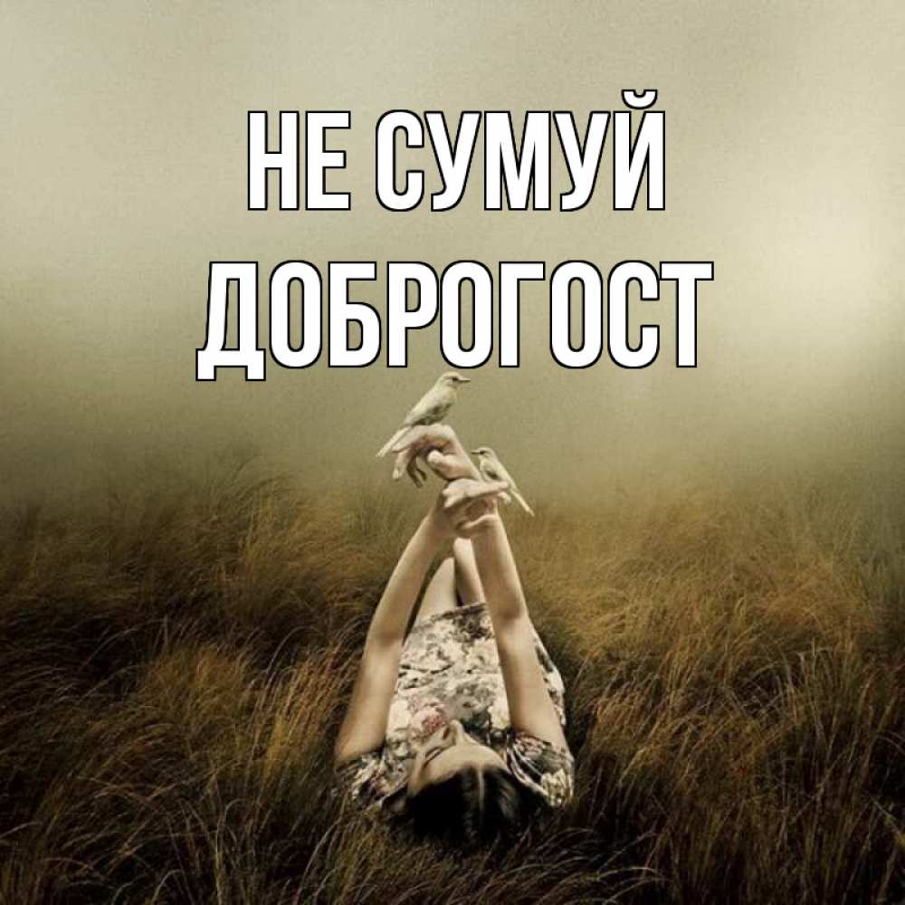 Открытка на каждый день з підписом, Доброгост Не сумуй поле и туман Прикольна листівка з побажанням онлайн скачати безкоштовно 
