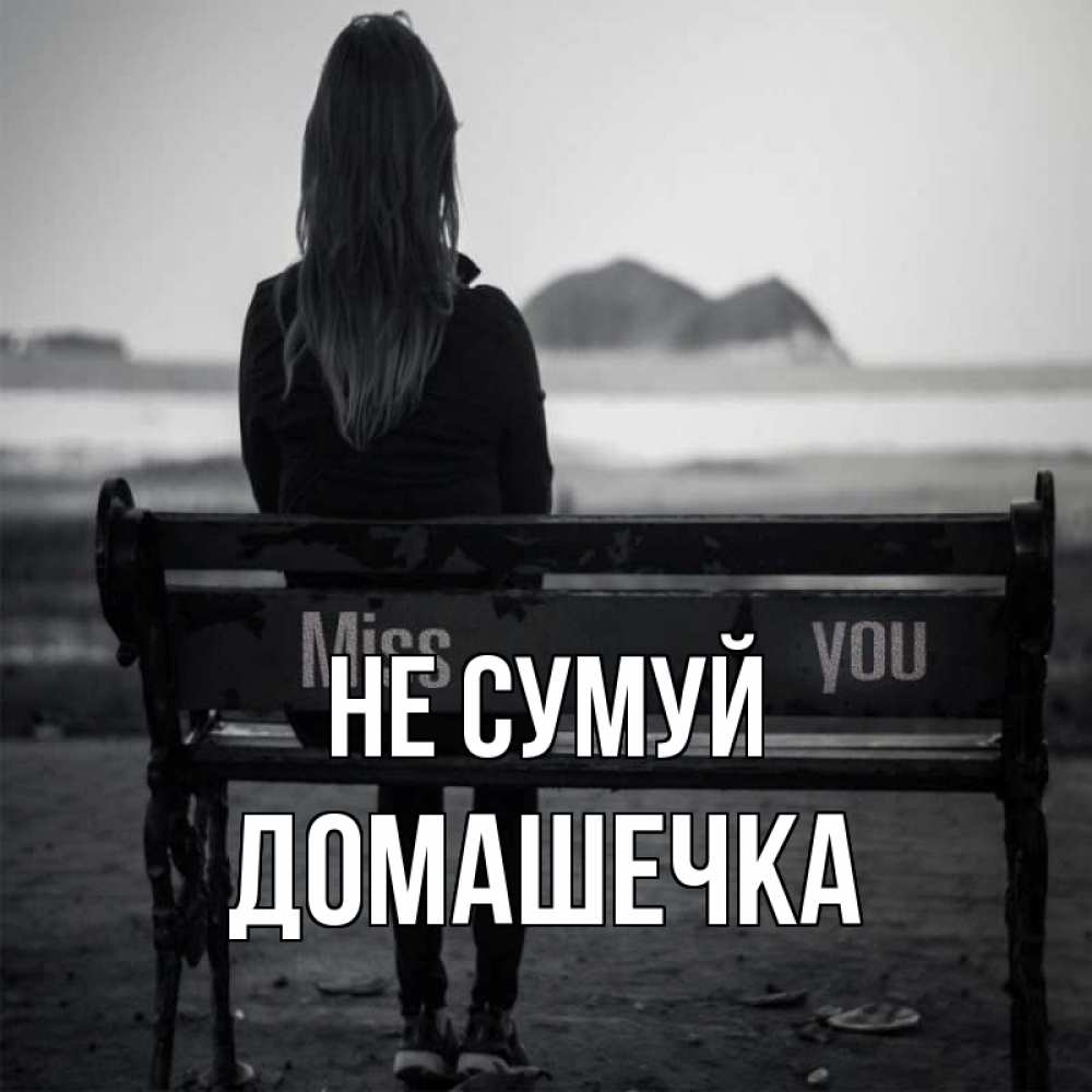 Открытка на каждый день з підписом, Домашечка Не сумуй смотрит на скалы Прикольна листівка з побажанням онлайн скачати безкоштовно 