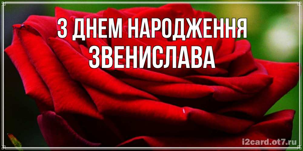 Открытка на каждый день з підписом, Звенислава З Днем народження розочка очень красивая Прикольна листівка з побажанням онлайн скачати безкоштовно 