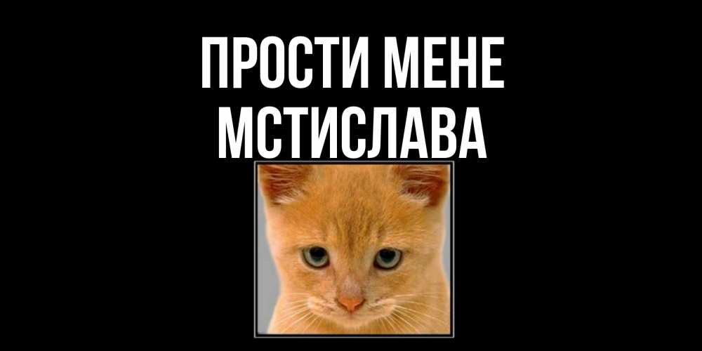 Открытка на каждый день з підписом, Мстислава Прости мене рыжий грустный кот просит прощения Прикольна листівка з побажанням онлайн скачати безкоштовно 
