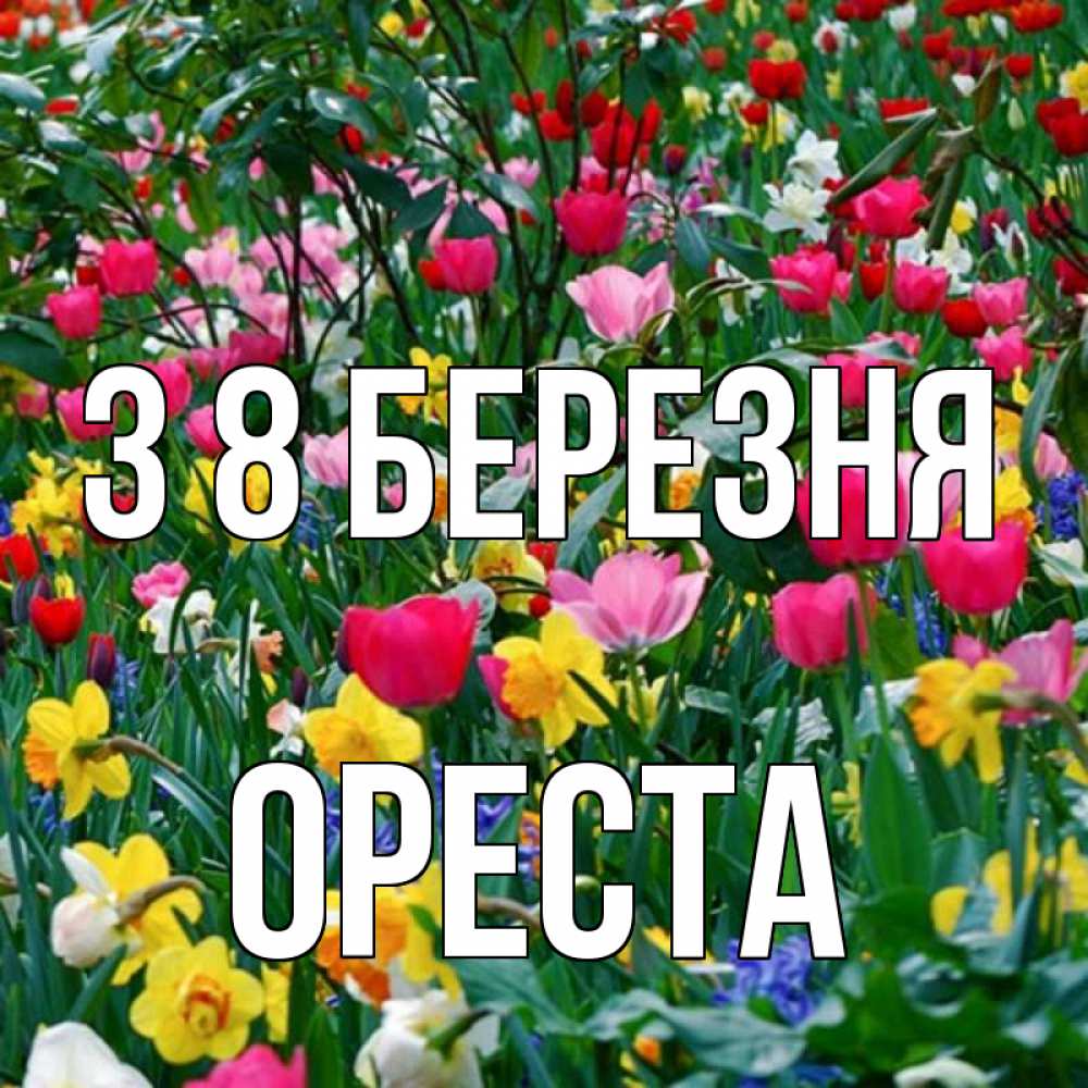 Открытка на каждый день з підписом, Ореста З 8 БЕРЕЗНЯ с международным женским днем поздравления для женщины Прикольна листівка з побажанням онлайн скачати безкоштовно 