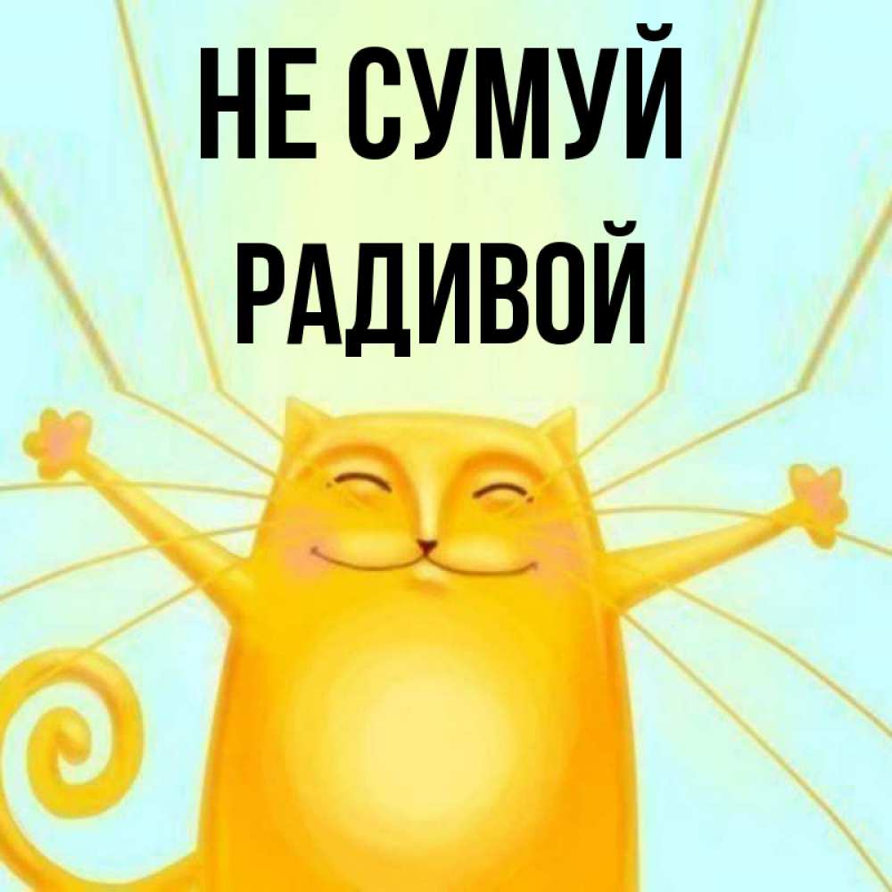 Открытка на каждый день з підписом, Радивой Не сумуй обнимашки усатые Прикольна листівка з побажанням онлайн скачати безкоштовно 
