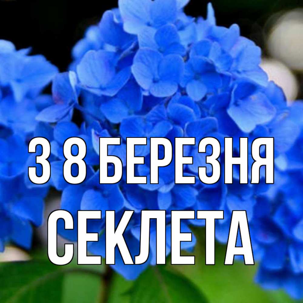 Открытка на каждый день з підписом, Секлета З 8 БЕРЕЗНЯ синие цветы Прикольна листівка з побажанням онлайн скачати безкоштовно 