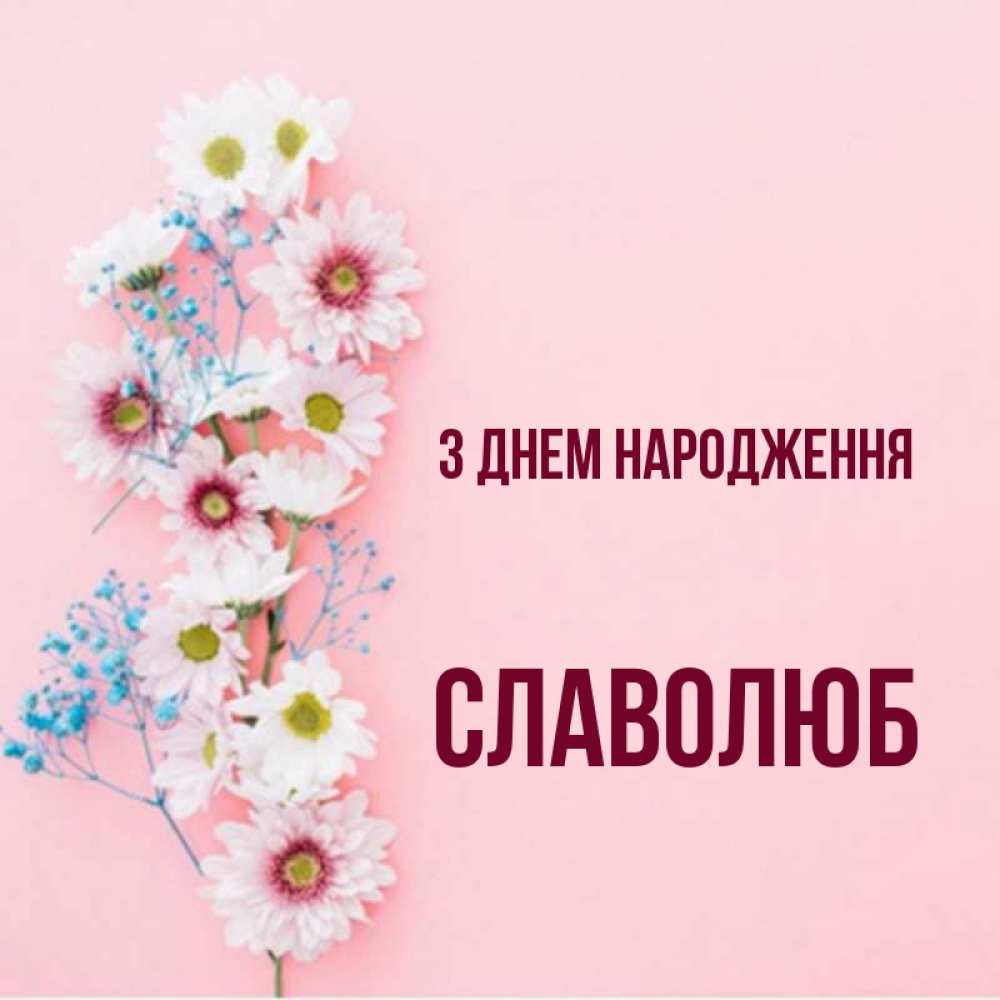 Открытка на каждый день з підписом, Славолюб З Днем народження Родная моя с днем рождения тебя картинка с цветами белыми и голубыми Прикольна листівка з побажанням онлайн скачати безкоштовно 