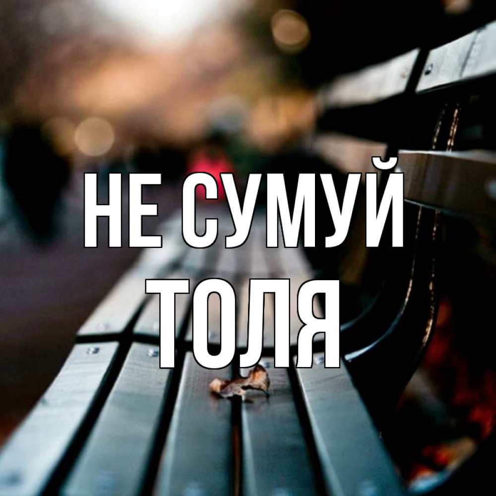 Открытка на каждый день з підписом, Толя Не сумуй размытый фон Прикольна листівка з побажанням онлайн скачати безкоштовно 