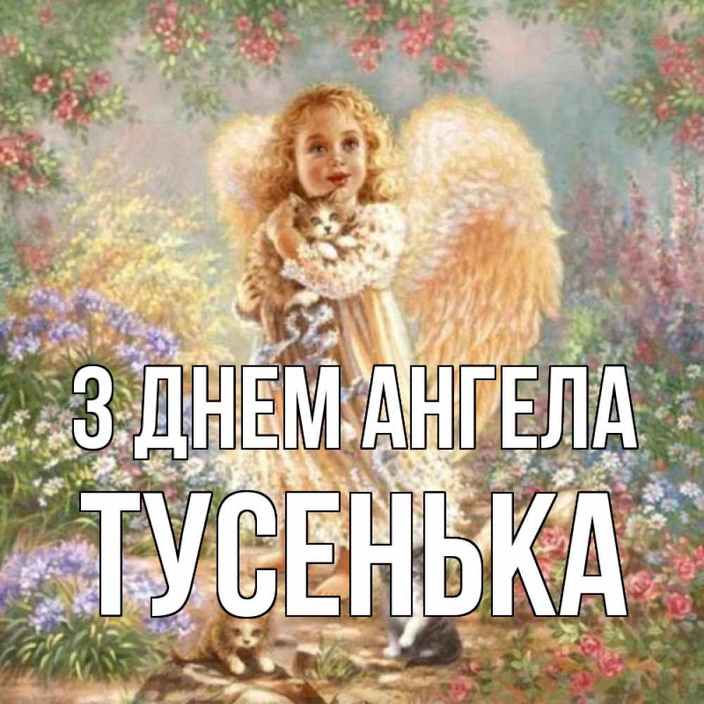 Открытка на каждый день з підписом, Тусенька З Днем ангела держит котенка Прикольна листівка з побажанням онлайн скачати безкоштовно 
