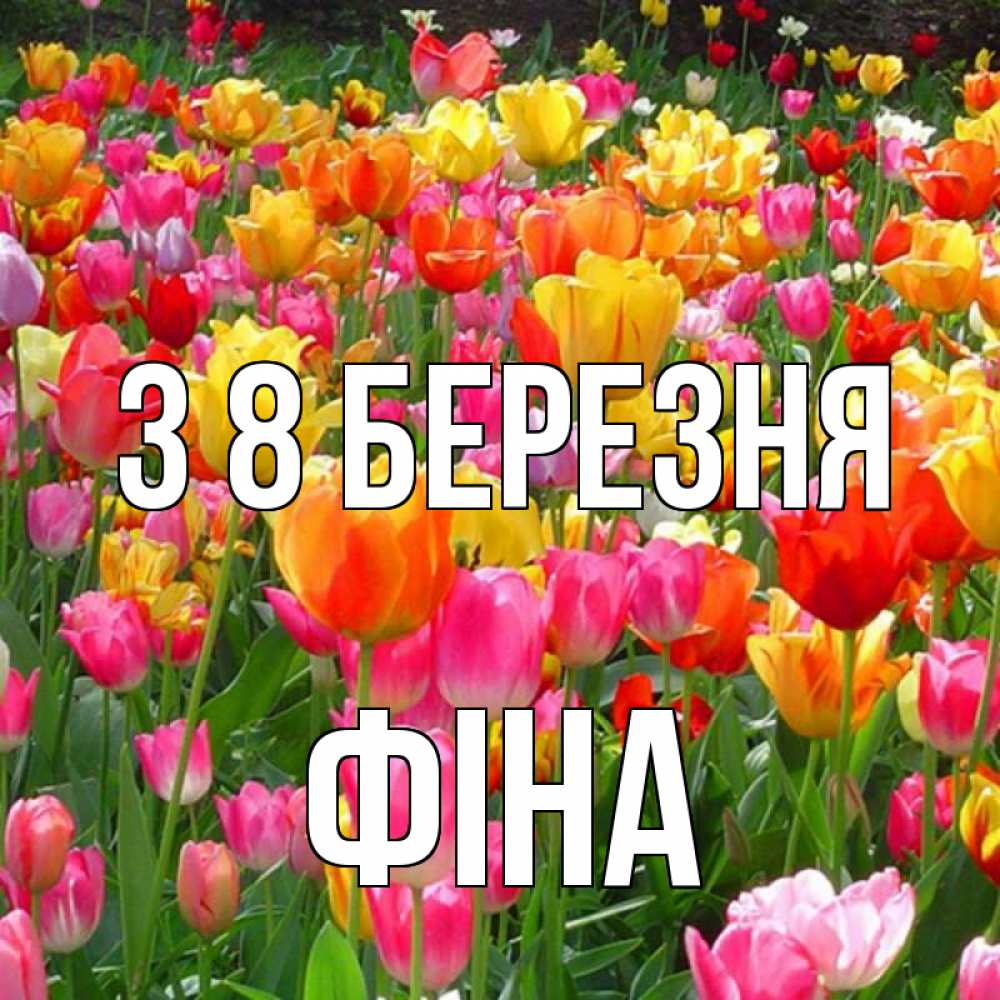 Открытка на каждый день з підписом, Фіна З 8 БЕРЕЗНЯ на международный женский день Прикольна листівка з побажанням онлайн скачати безкоштовно 