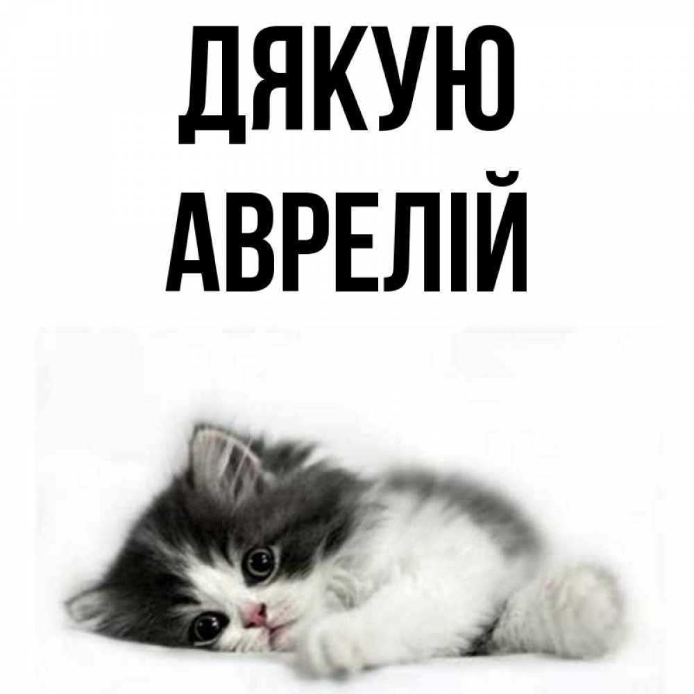 Открытка на каждый день з підписом, Аврелій Дякую черный и белый кот Прикольна листівка з побажанням онлайн скачати безкоштовно 