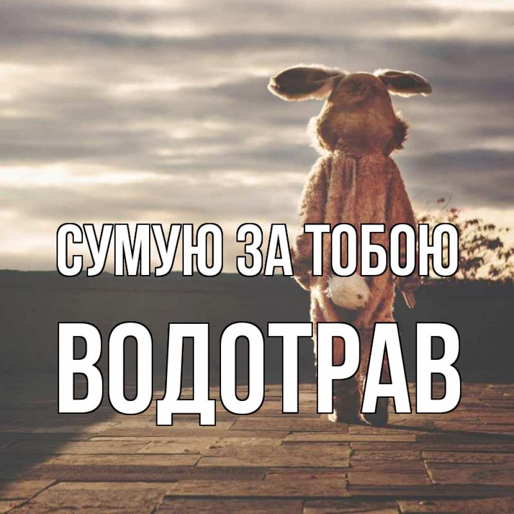 Открытка на каждый день з підписом, Водотрав Сумую за тобою даже в костюме зайца Прикольна листівка з побажанням онлайн скачати безкоштовно 