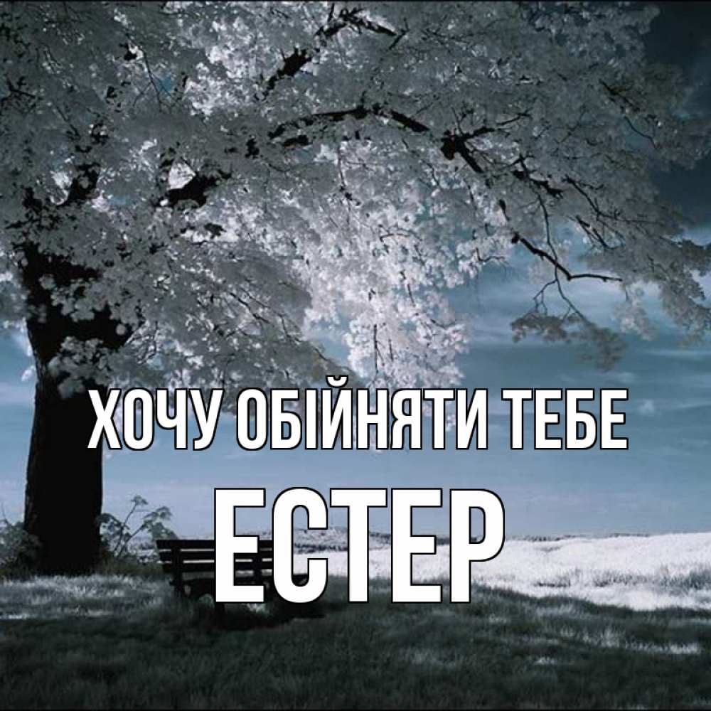 Открытка на каждый день з підписом, Естер Хочу обійняти тебе дерево Прикольна листівка з побажанням онлайн скачати безкоштовно 