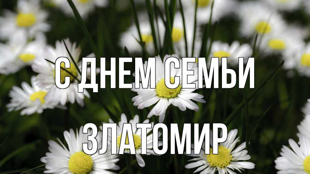 Открытка на каждый день з підписом, Златомир С днем семьи с днем семьи  2 Прикольна листівка з побажанням онлайн скачати безкоштовно 