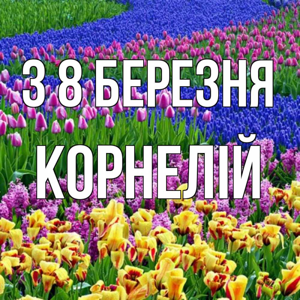 Открытка на каждый день з підписом, Корнелій З 8 БЕРЕЗНЯ цветы Прикольна листівка з побажанням онлайн скачати безкоштовно 