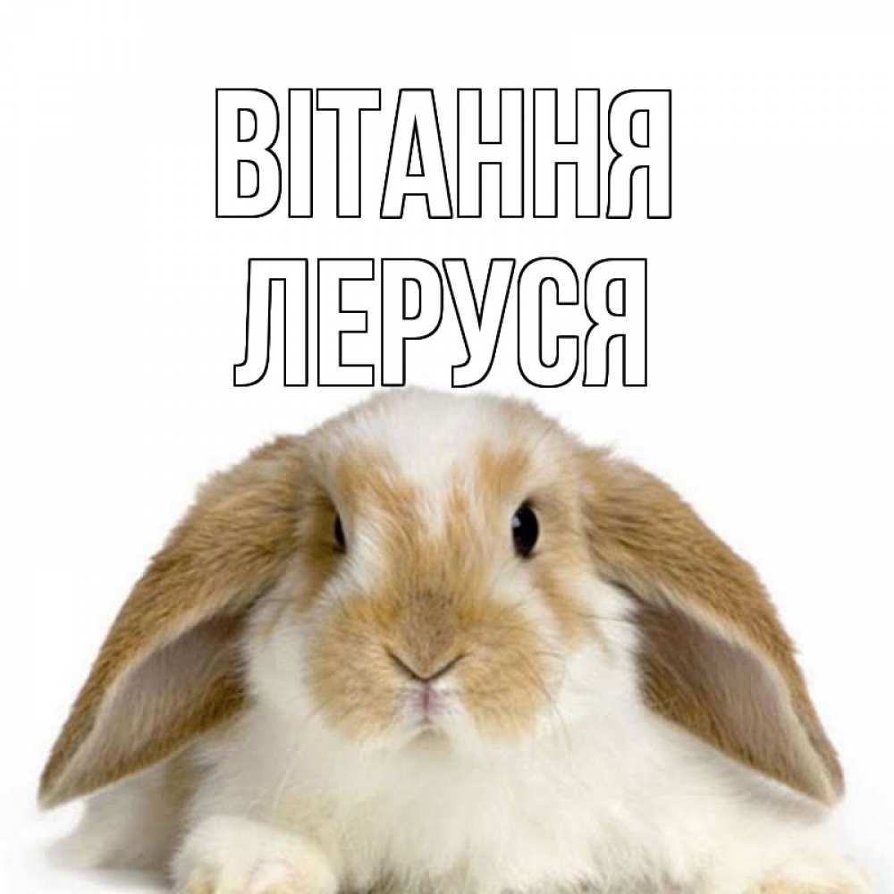 Открытка на каждый день з підписом, Леруся Вітання с животными Прикольна листівка з побажанням онлайн скачати безкоштовно 