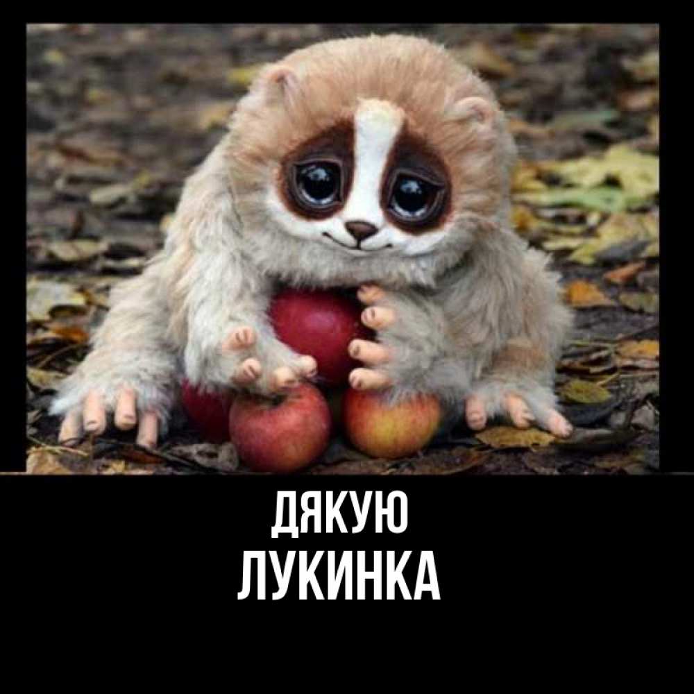 Открытка на каждый день з підписом, Лукинка Дякую прикольное животное Прикольна листівка з побажанням онлайн скачати безкоштовно 