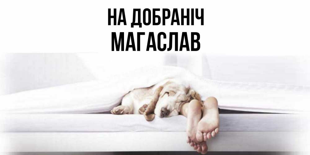 Открытка на каждый день з підписом, Магаслав На добраніч кровать с собакой пожелание сладких снов и спокойной ночи Прикольна листівка з побажанням онлайн скачати безкоштовно 