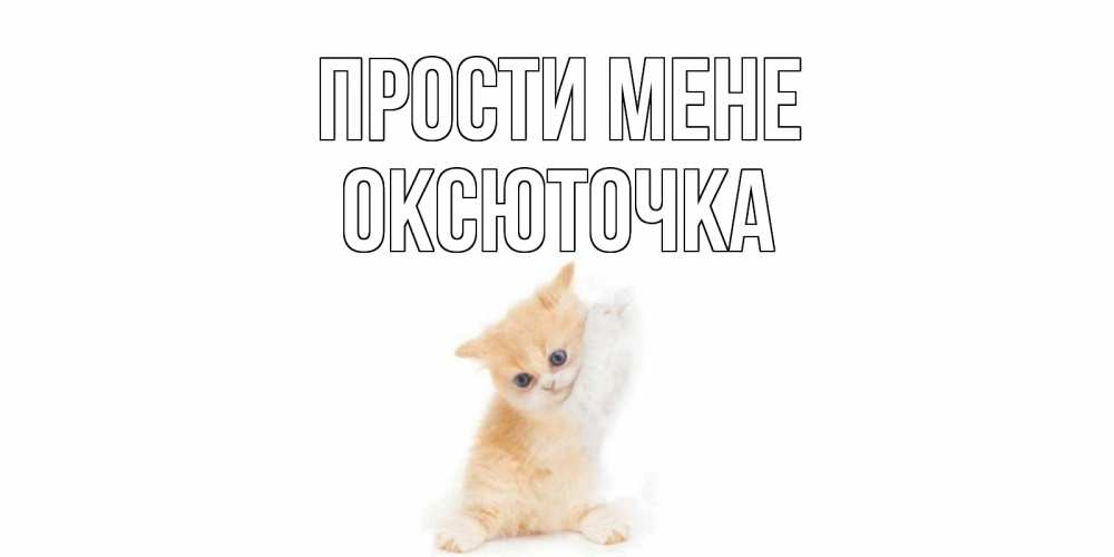 Открытка на каждый день з підписом, Оксюточка Прости мене кот Прикольна листівка з побажанням онлайн скачати безкоштовно 