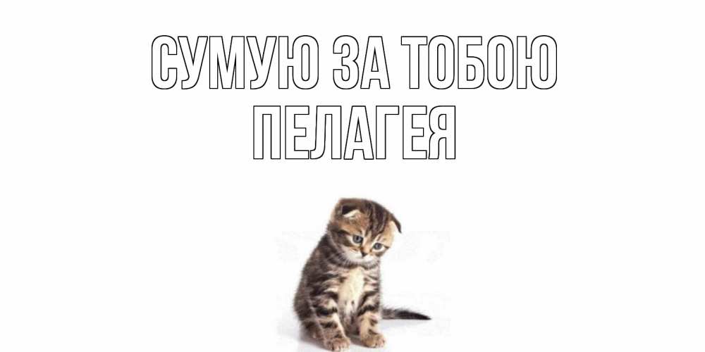 Открытка на каждый день з підписом, Пелагея Сумую за тобою кот Прикольна листівка з побажанням онлайн скачати безкоштовно 