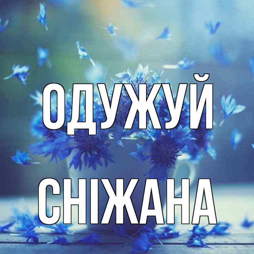 Открытка на каждый день з підписом, Сніжана Одужуй кружка с зельем и цветами Прикольна листівка з побажанням онлайн скачати безкоштовно 