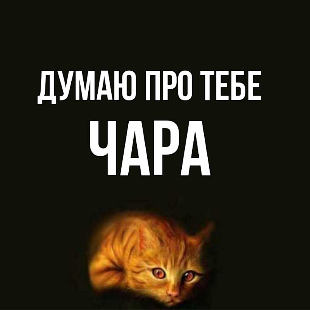 Открытка на каждый день з підписом, Чара Думаю про тебе рыжий Прикольна листівка з побажанням онлайн скачати безкоштовно 