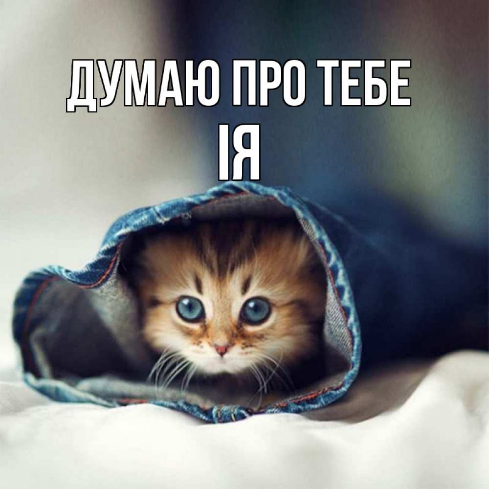 Открытка на каждый день з підписом, Ія Думаю про тебе мне без тебя плохо Прикольна листівка з побажанням онлайн скачати безкоштовно 