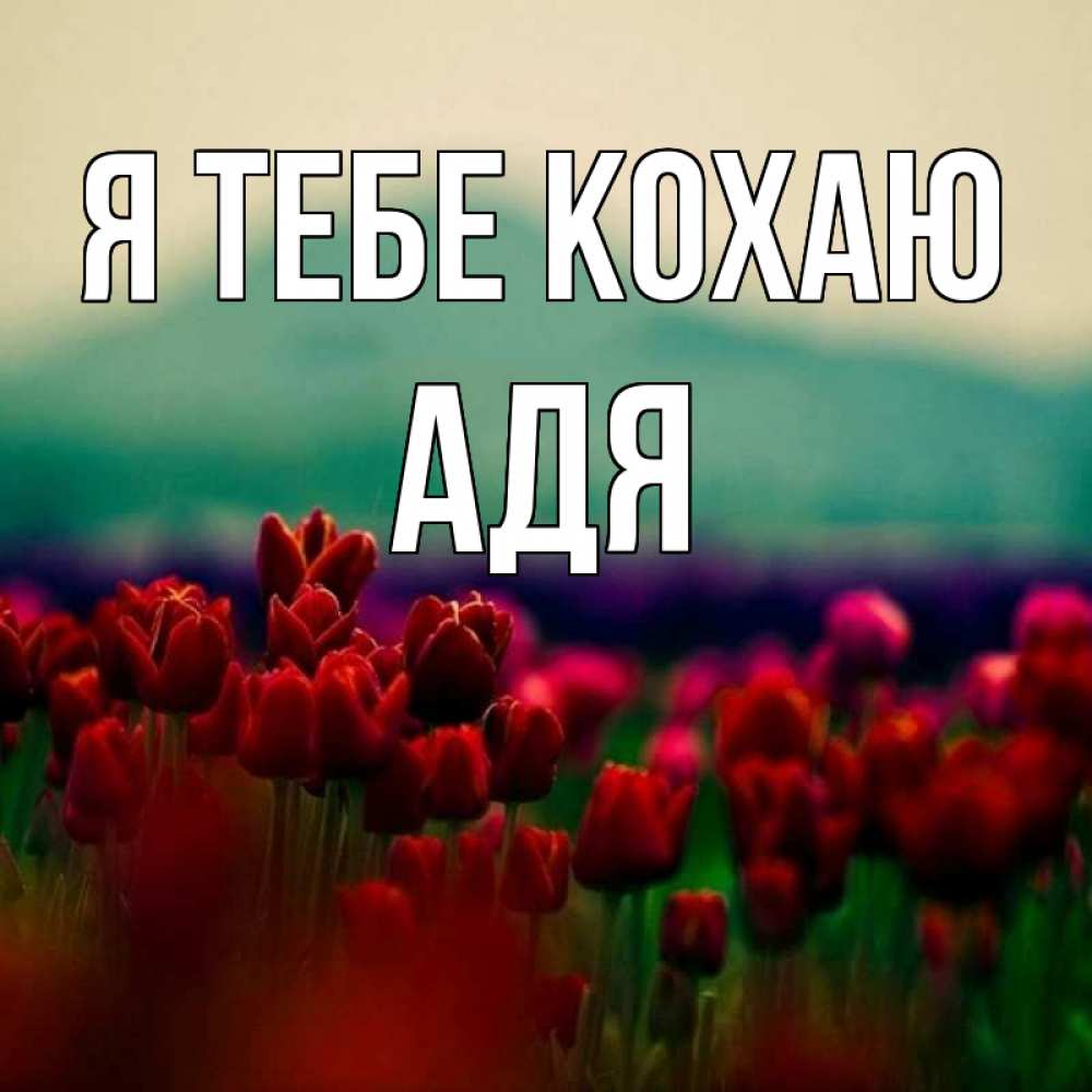 Открытка на каждый день з підписом, Адя Я тебе кохаю тюльпаны 4 Прикольна листівка з побажанням онлайн скачати безкоштовно 