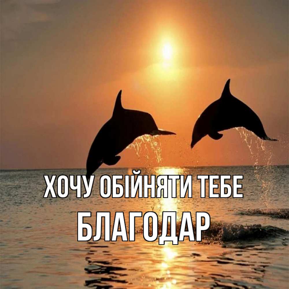 Открытка на каждый день з підписом, Благодар Хочу обійняти тебе рыбы на закате Прикольна листівка з побажанням онлайн скачати безкоштовно 