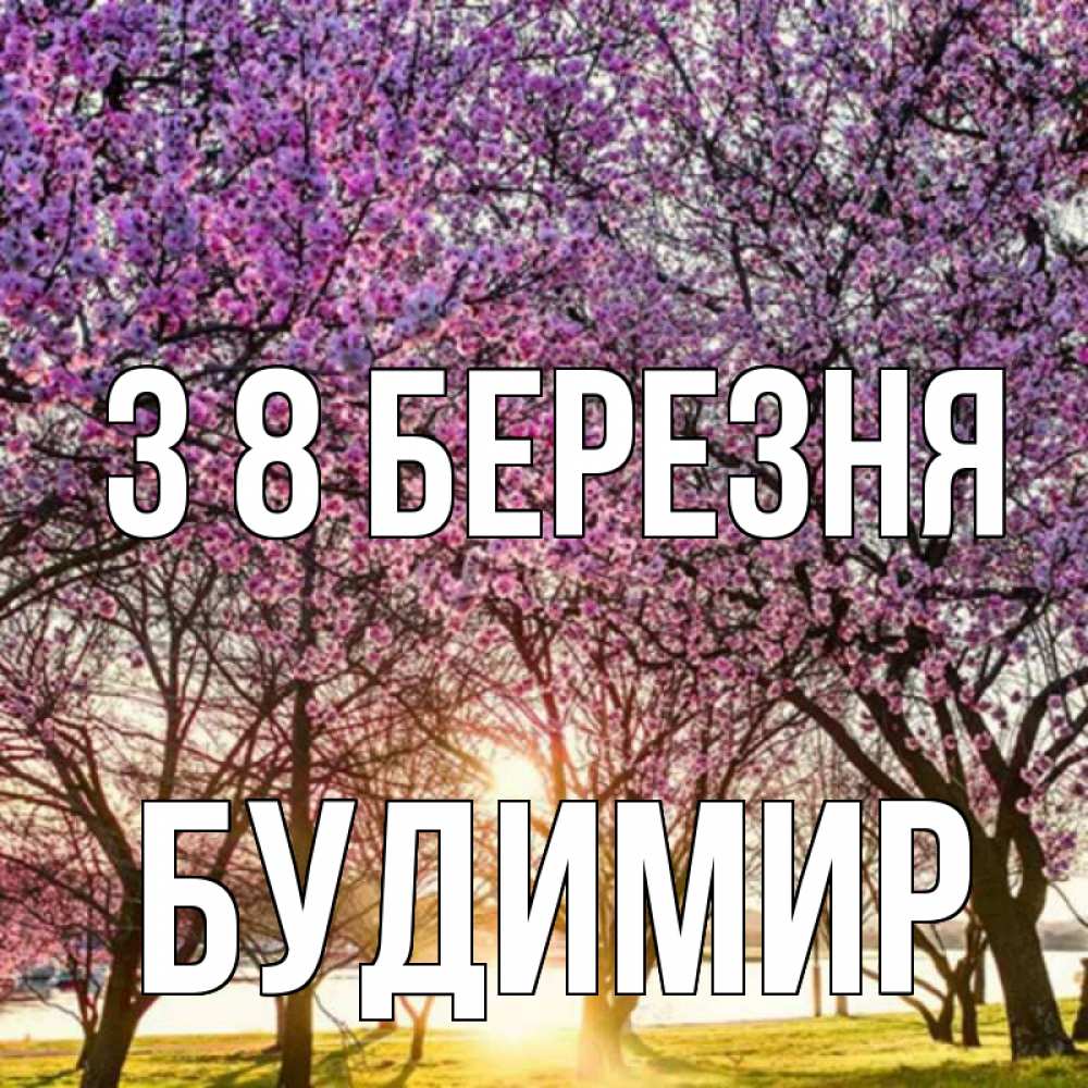 Открытка на каждый день з підписом, Будимир З 8 БЕРЕЗНЯ международный женский день Прикольна листівка з побажанням онлайн скачати безкоштовно 
