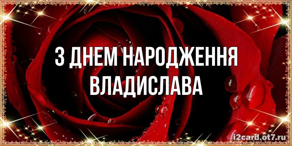 Открытка на каждый день з підписом, Владислава З Днем народження цветок в росе на день рождения Прикольна листівка з побажанням онлайн скачати безкоштовно 