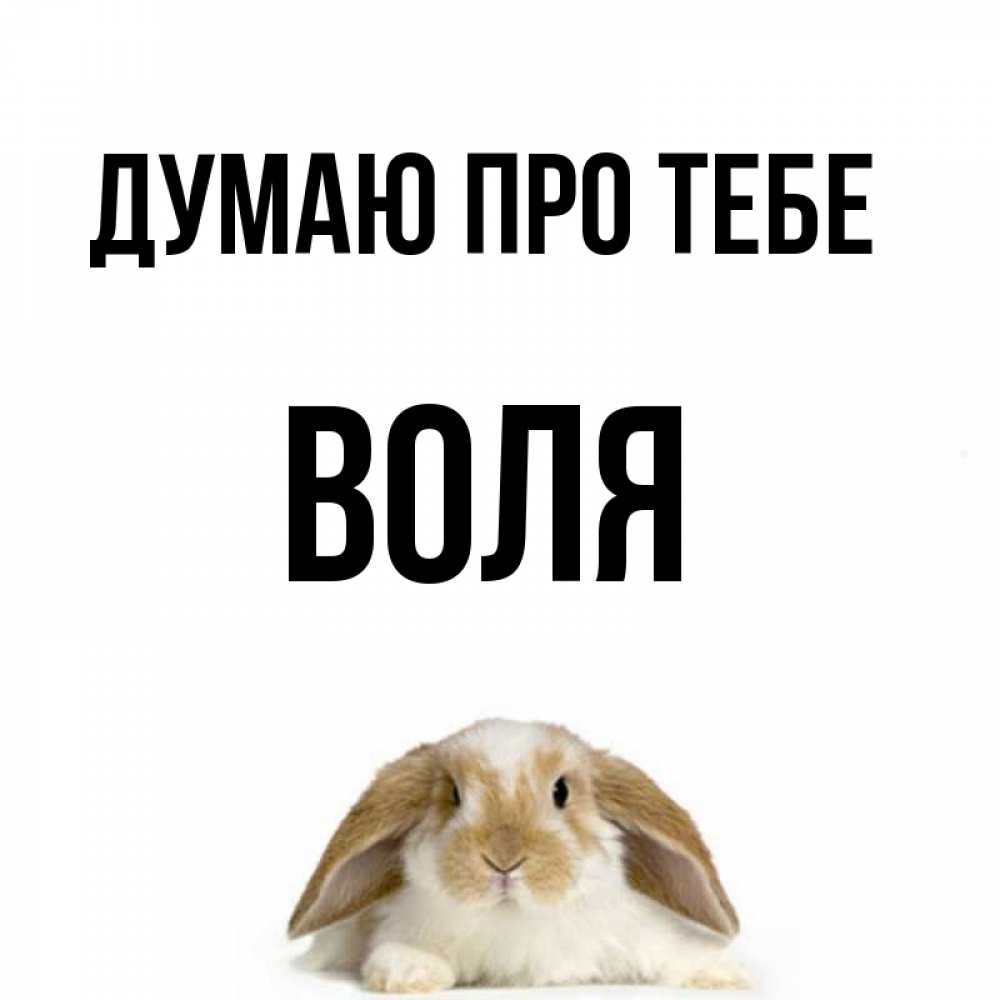Открытка на каждый день з підписом, Воля Думаю про тебе подписать своими руками онлайн Прикольна листівка з побажанням онлайн скачати безкоштовно 