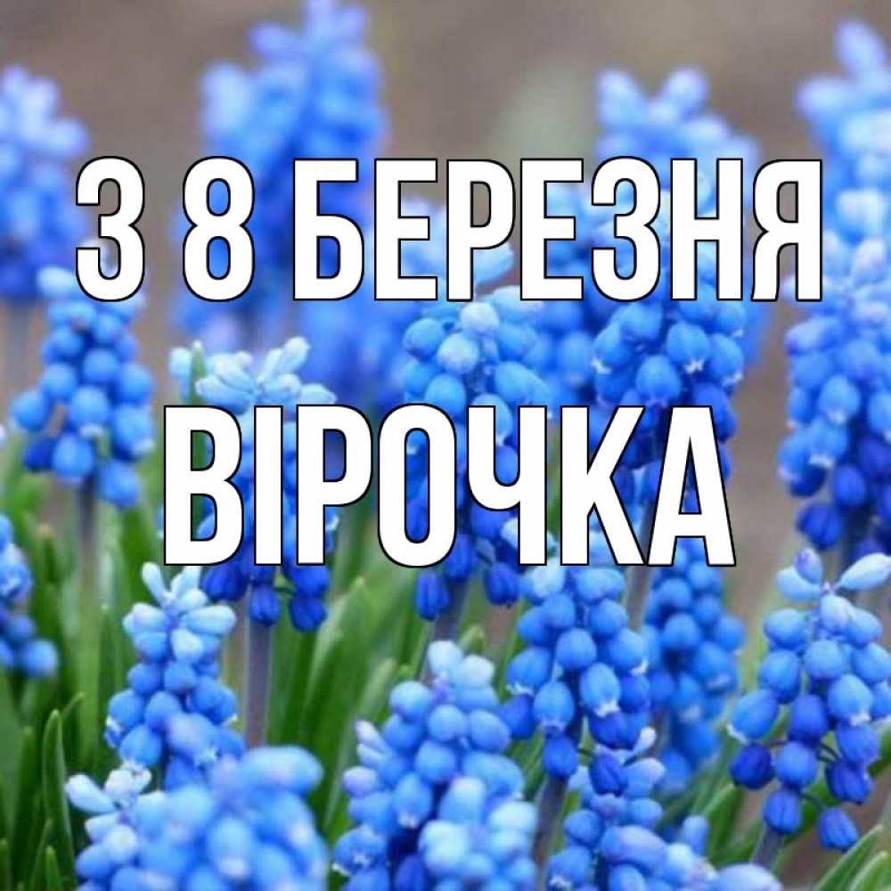 Открытка на каждый день з підписом, Вірочка З 8 БЕРЕЗНЯ Поздравительная открытка для женщин с цветами на праздничную дату Прикольна листівка з побажанням онлайн скачати безкоштовно 