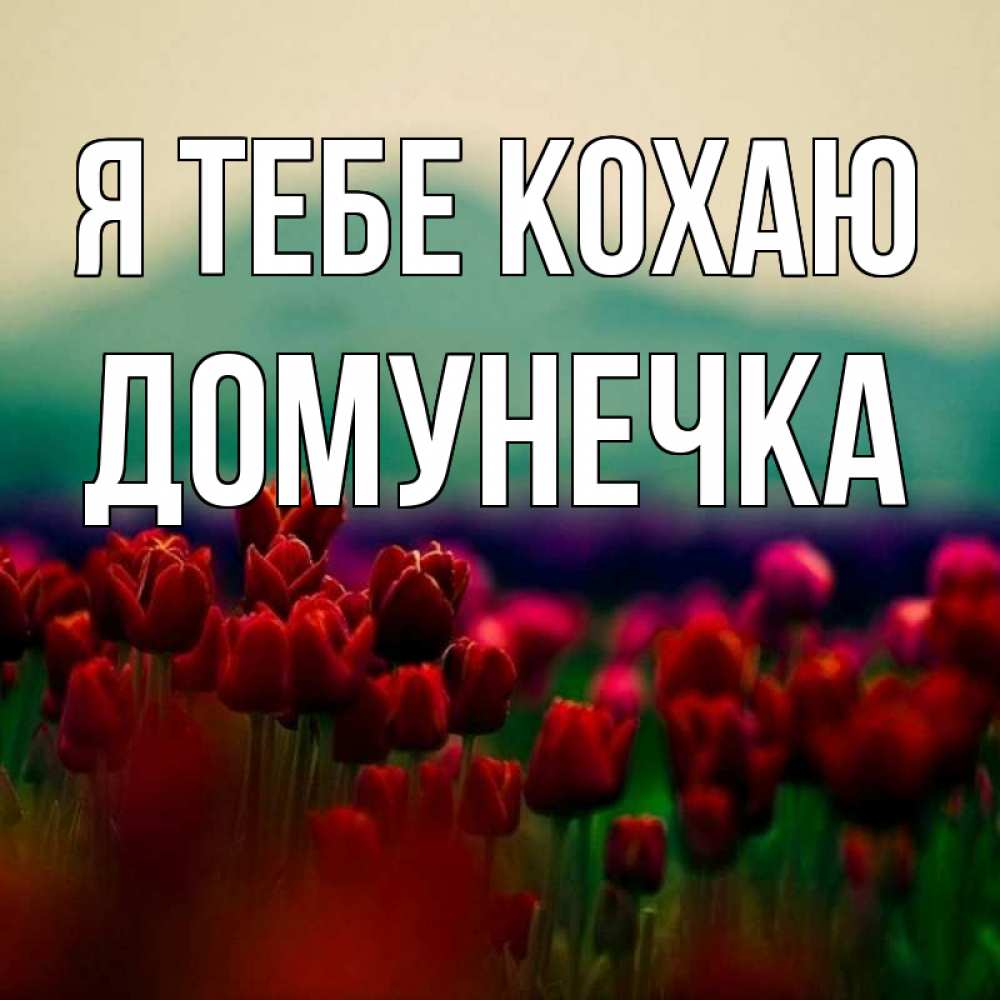 Открытка на каждый день з підписом, Домунечка Я тебе кохаю тюльпаны 4 Прикольна листівка з побажанням онлайн скачати безкоштовно 