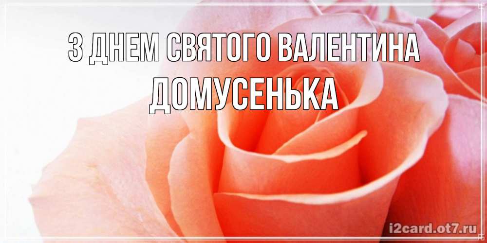 Открытка на каждый день з підписом, Домусенька З Днем Святого Валентина открытка на день Святого Валентина с розовой розой Прикольна листівка з побажанням онлайн скачати безкоштовно 