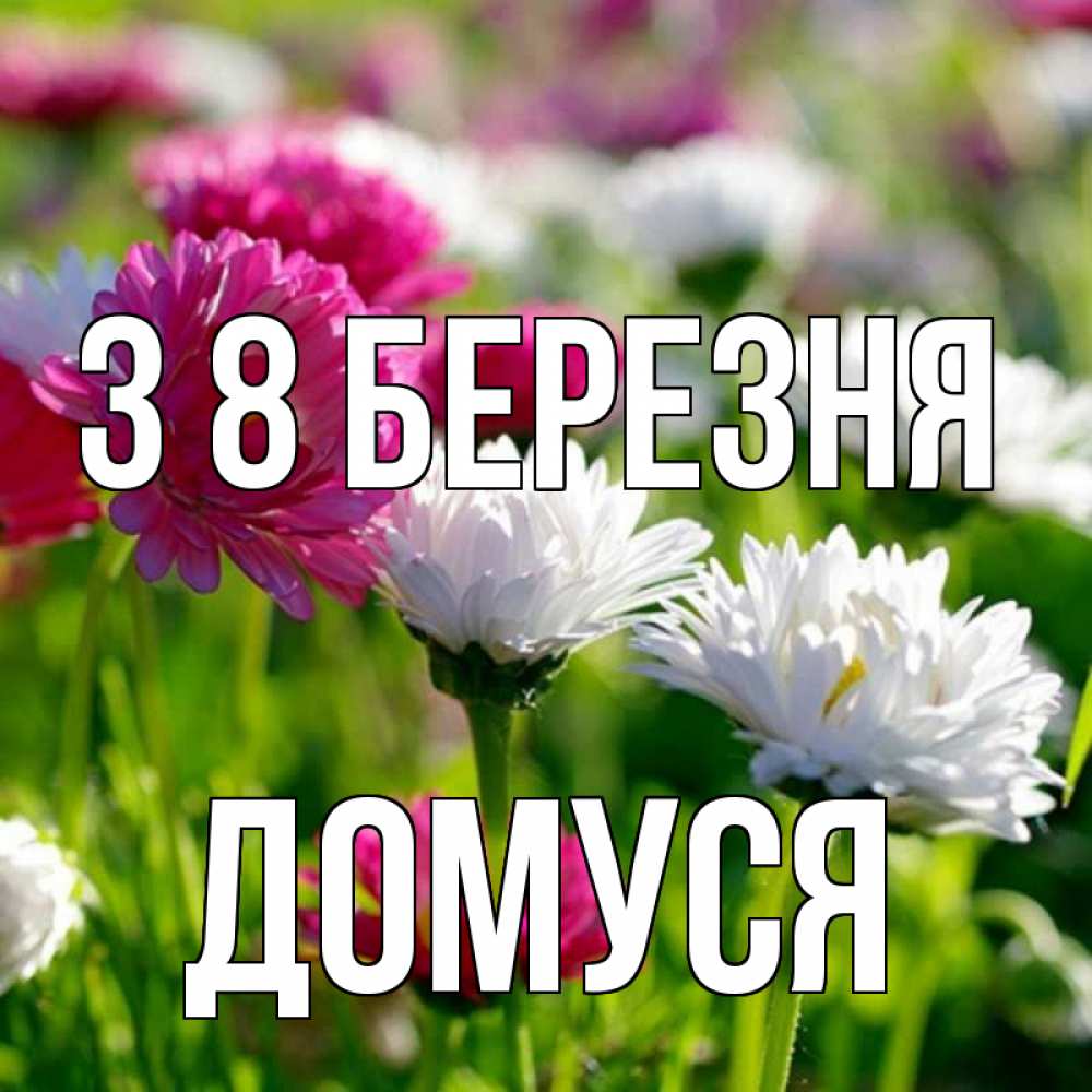 Открытка на каждый день з підписом, Домуся З 8 БЕРЕЗНЯ международный женский день 1 Прикольна листівка з побажанням онлайн скачати безкоштовно 