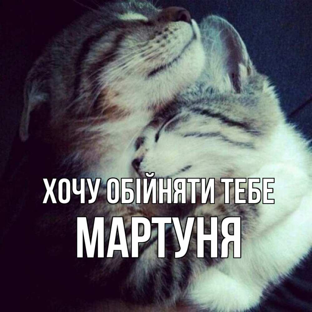 Открытка на каждый день з підписом, Мартуня Хочу обійняти тебе полосатики Прикольна листівка з побажанням онлайн скачати безкоштовно 