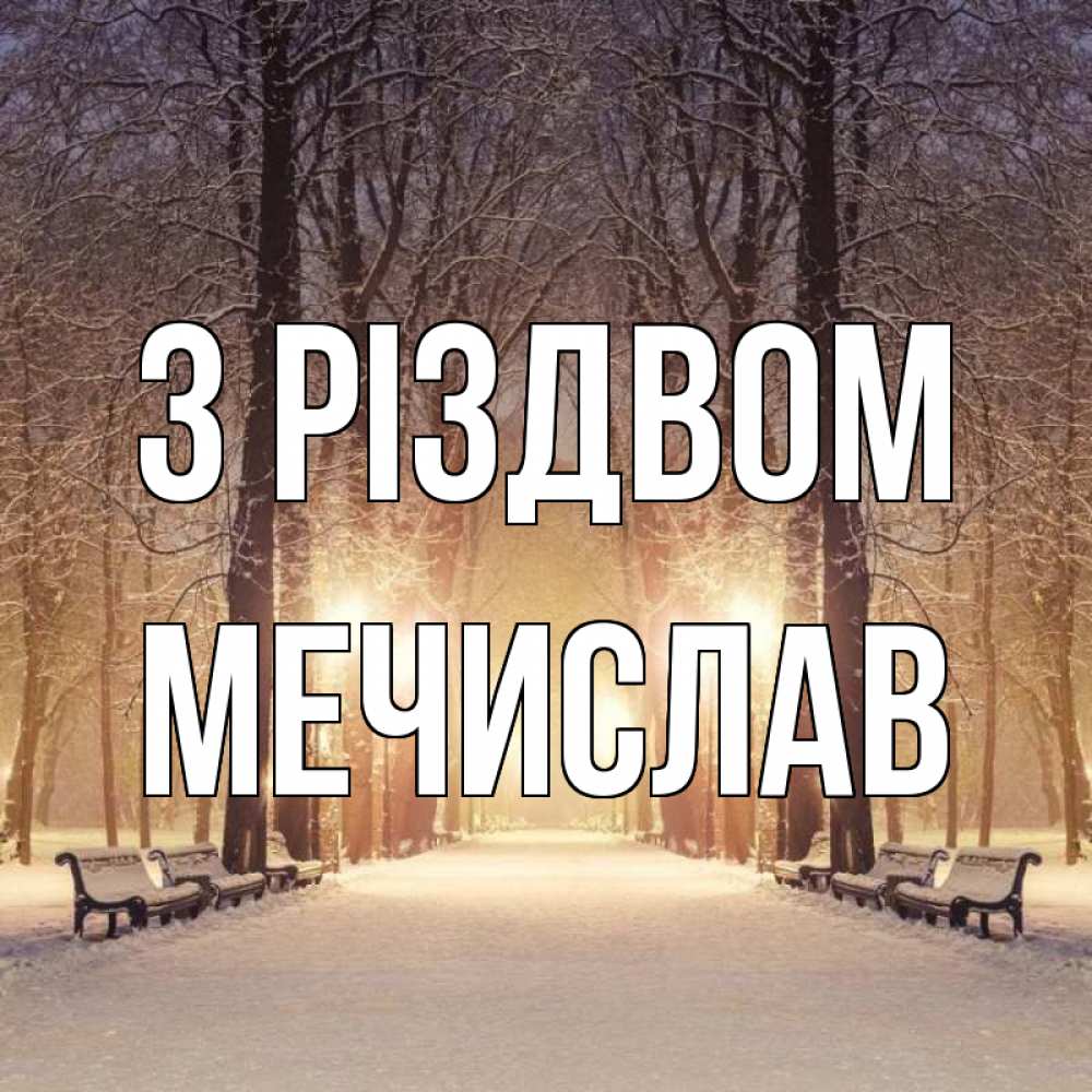 Открытка на каждый день з підписом, Мечислав З Різдвом зима, парк, фонарь, лес Прикольна листівка з побажанням онлайн скачати безкоштовно 