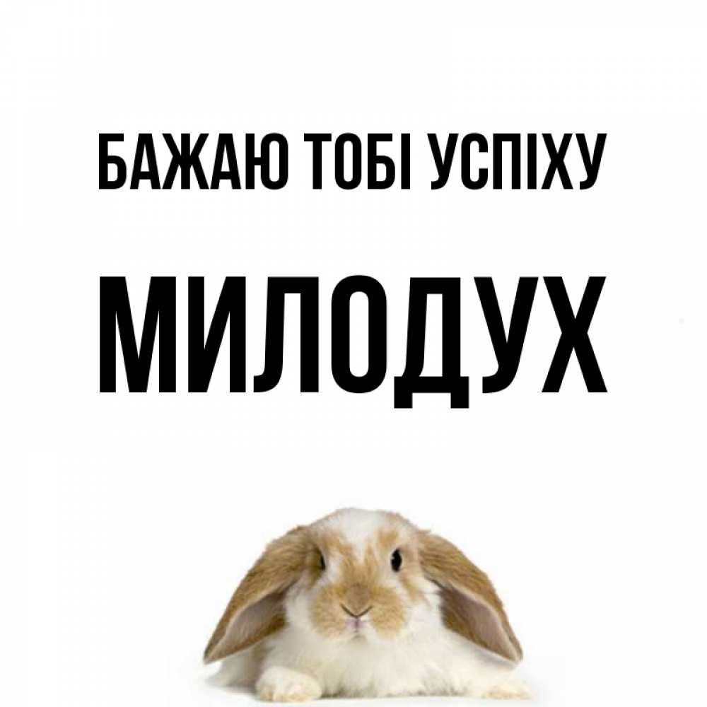 Открытка на каждый день з підписом, Милодух Бажаю тобі успіху открытки с произвольным текстом который можно вставить в открытку и создать ее самостоятельно бесплатно онлайн Прикольна листівка з побажанням онлайн скачати безкоштовно 