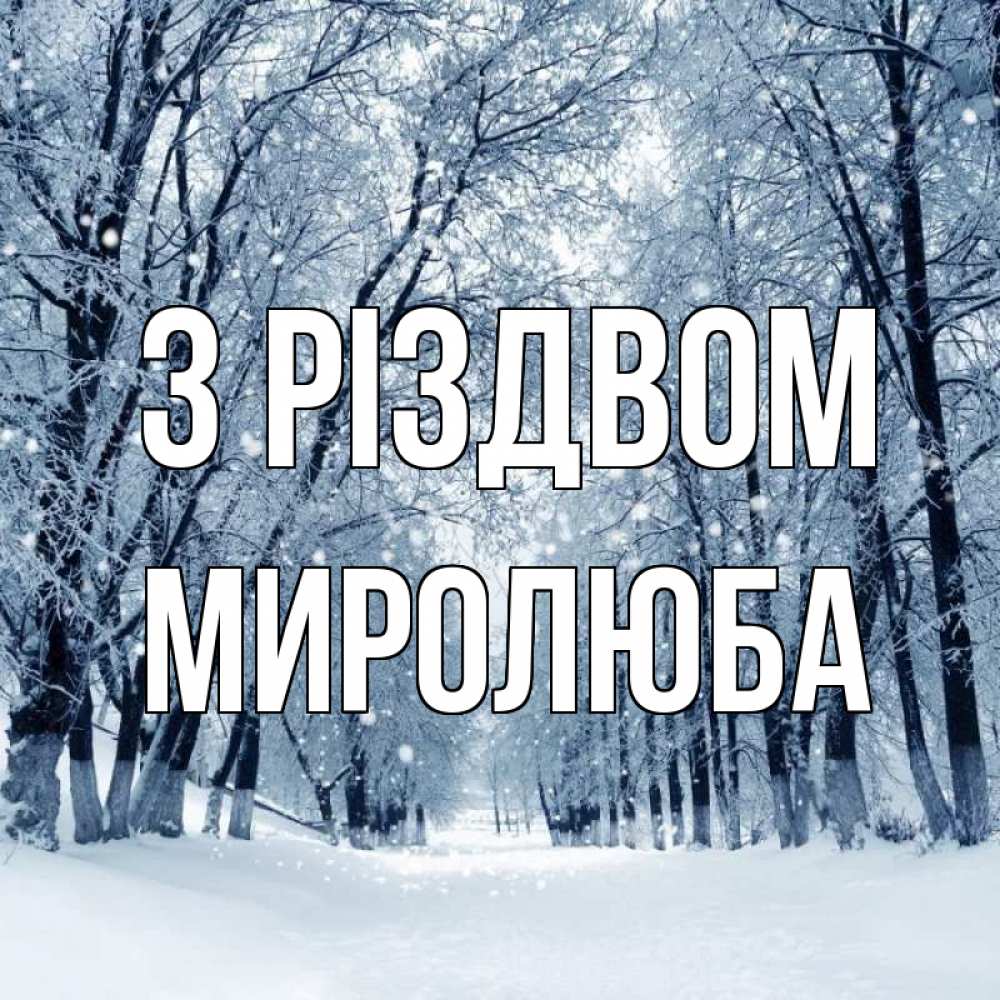 Открытка на каждый день з підписом, Миролюба З Різдвом снег, лес, парк Прикольна листівка з побажанням онлайн скачати безкоштовно 