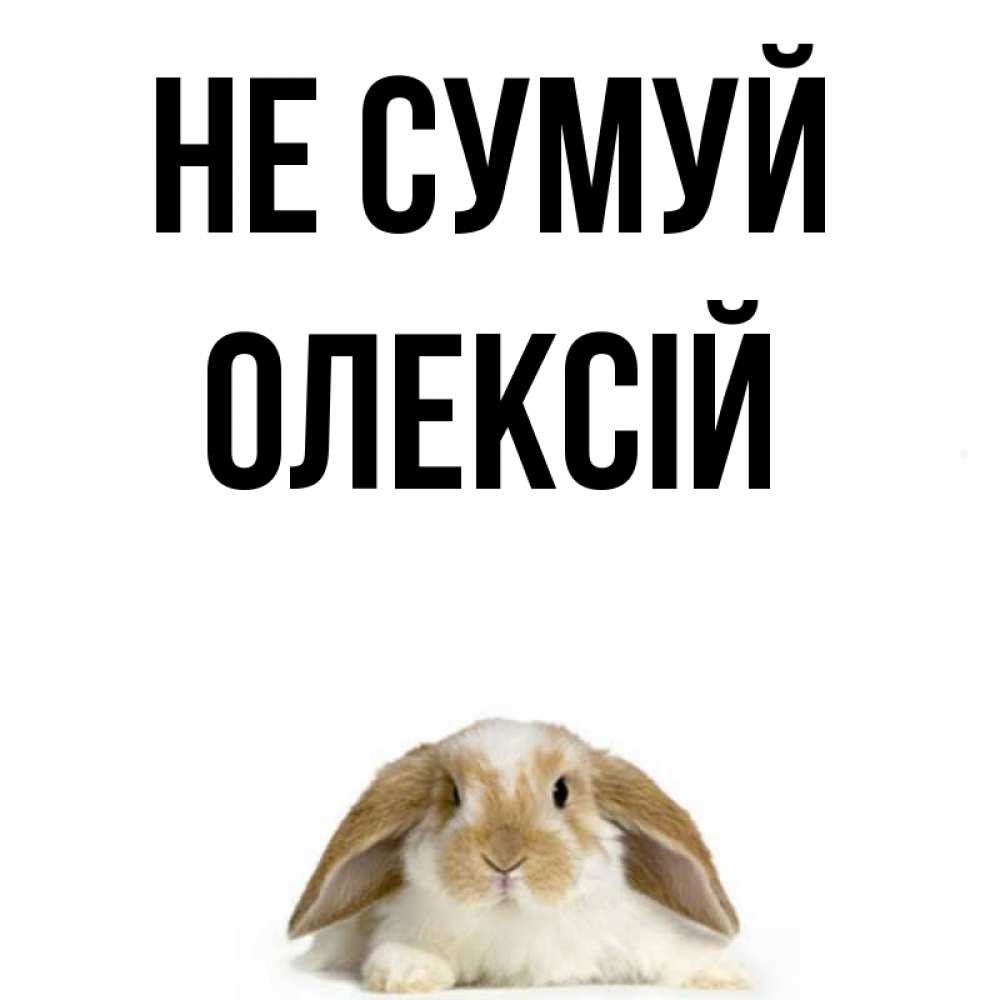 Открытка на каждый день з підписом, Олексій Не сумуй коричнево белый заяц с большими ушками Прикольна листівка з побажанням онлайн скачати безкоштовно 