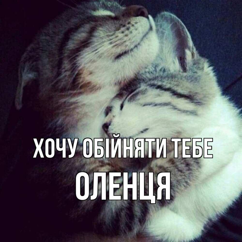 Открытка на каждый день з підписом, Оленця Хочу обійняти тебе полосатики Прикольна листівка з побажанням онлайн скачати безкоштовно 