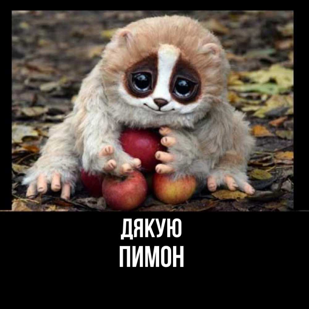 Открытка на каждый день з підписом, Пимон Дякую прикольное животное Прикольна листівка з побажанням онлайн скачати безкоштовно 